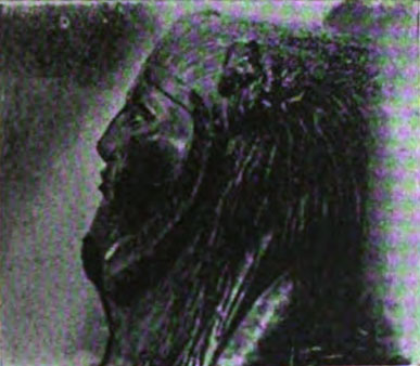 Kopf der Sphinx von Tanis
