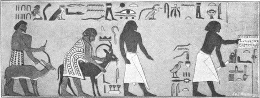 Wandgemälde zu Beni Hassan
