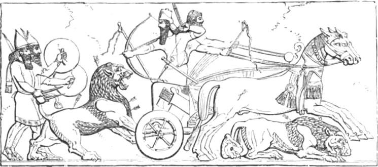 Der König aus der Löwenjagd
